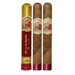 Flor De Las Antillas Toro Tubo