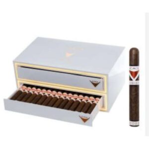 CAO Vision Toro LE