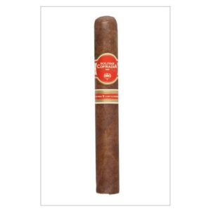 Bolivar Cofradia EMS Toro