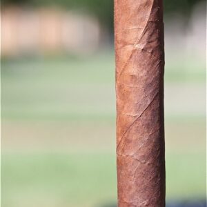Casa Fernandez Lancero Corojo