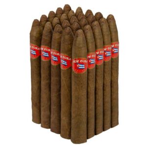 Casa Fernandez Torpedo Corojo