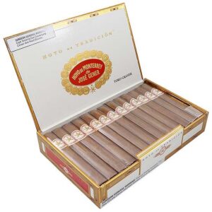 Hoyo de Monterrey Toro