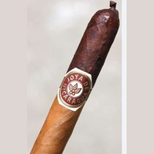 Joya de Nicaragua CS No. 13 Lancero