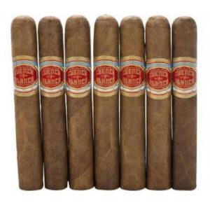 Joya de Nicaragua CyB Robusto Deluxe