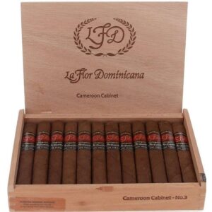 LFD Cameroon Cabinet No. 4