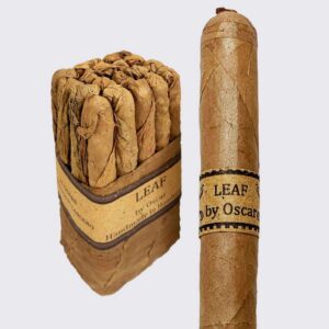 Leaf by Oscar Lancero