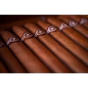 Montecristo Platinum Series La Baia Tube