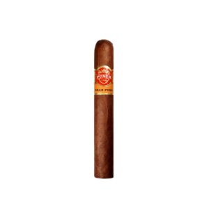 Punch Gran Puro Rancho 10 Pack