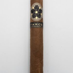 Room101 Farce Toro Gordo