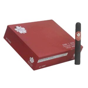 Room101 14th Anniversary Toro