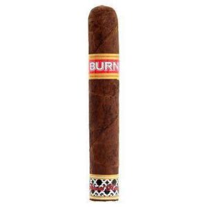 Rocky Patel Burn-Robusto