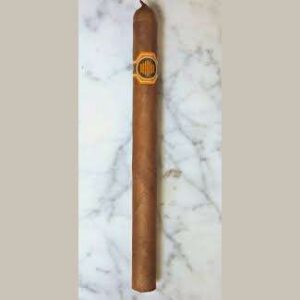 Warped La Colmena No. 36