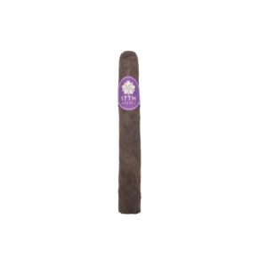 Room101 17th Anniversary Toro cigar